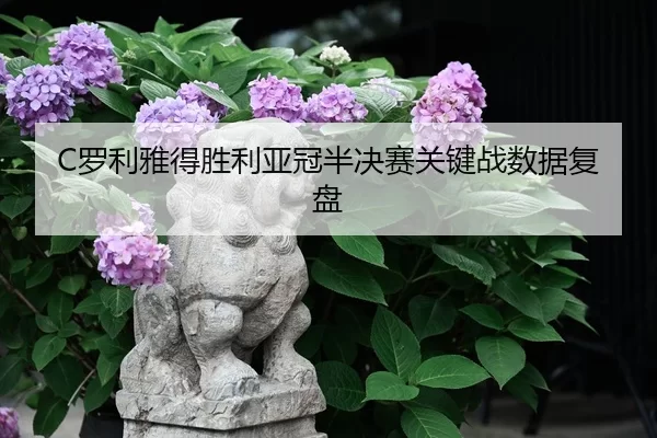 luo-li-ya-de-sheng-li-ya-guan-ban-jue-sai-guan-jian-zhan-shu-ju-fu-pan-1-109.jpg